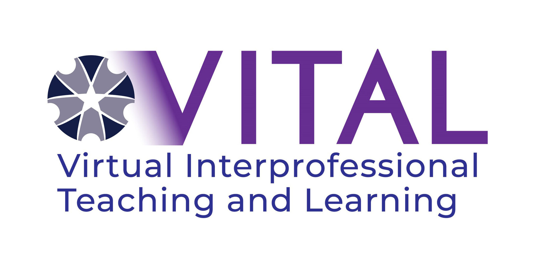 Logo of the VITAL workshop