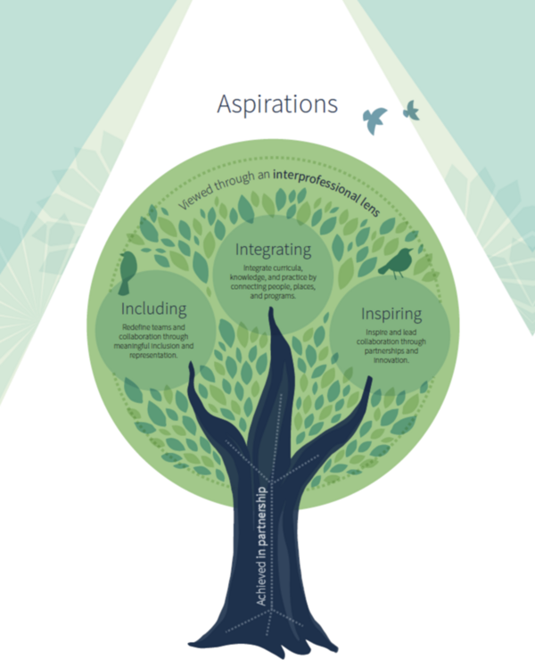 3 Aspirations: Including, Integrating, Inspiring - done in partnership through an interprofessional lens