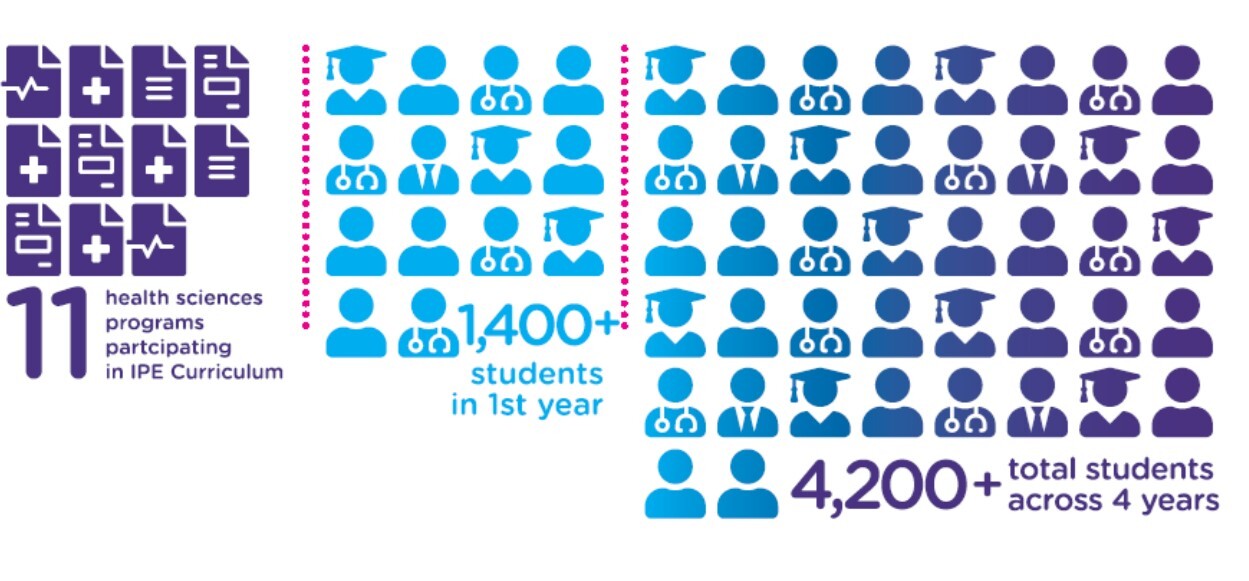 IPE students