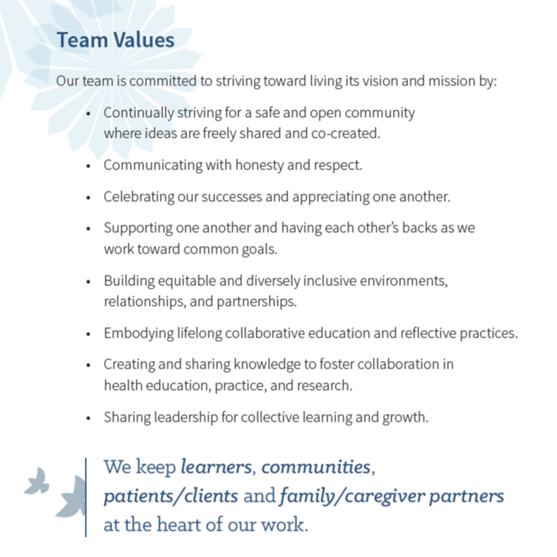 Team Values